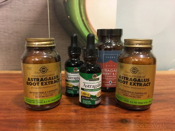 Astragalus