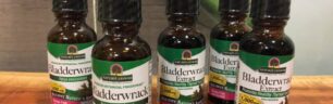BLADDERWRACK