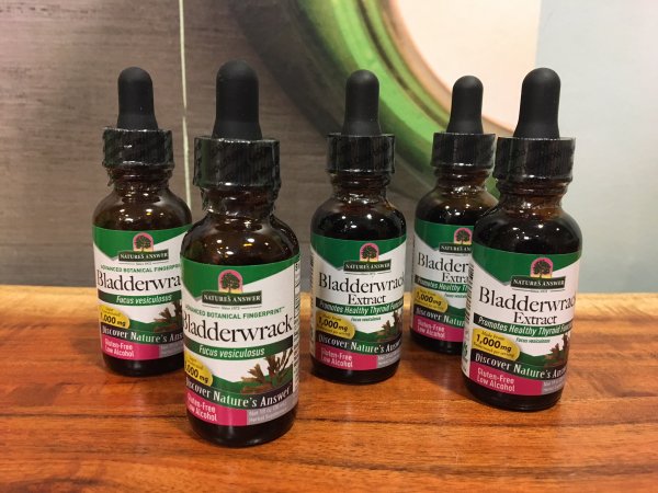 Bladderwrack tincture Bladderwrack