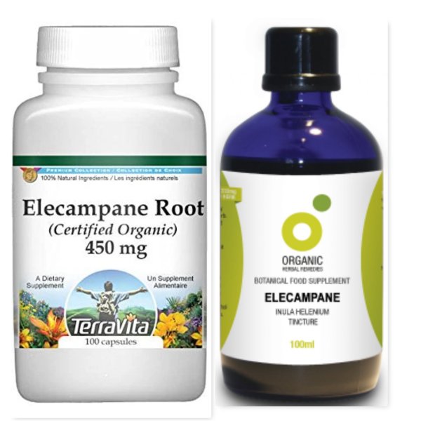 Elecampane