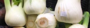 FENNEL