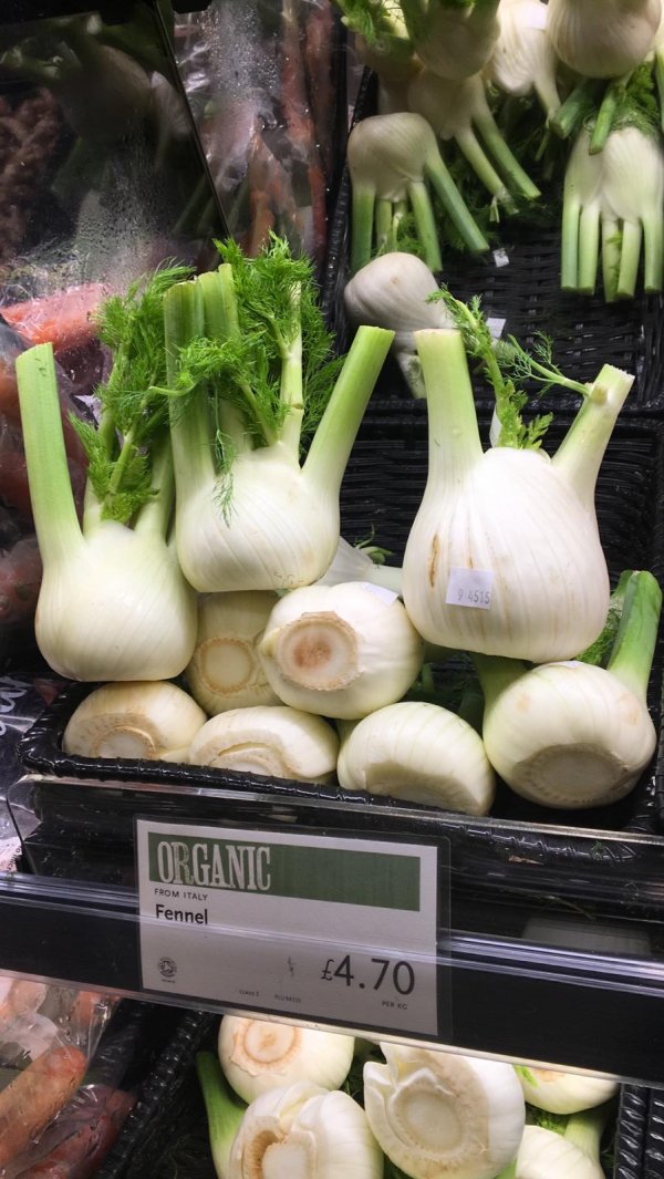 Some organic fresh fennel Fennel