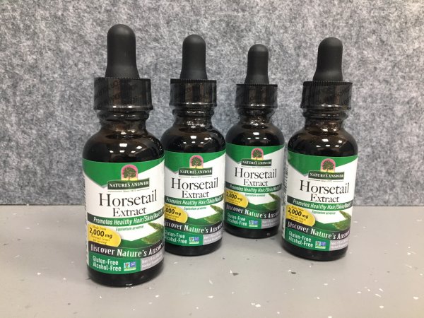 Horsetail