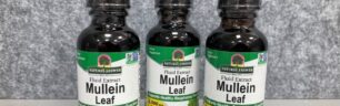 MULLEIN