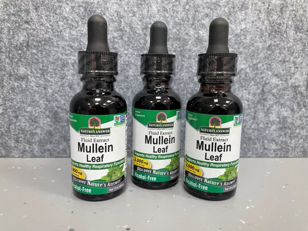 Mullein