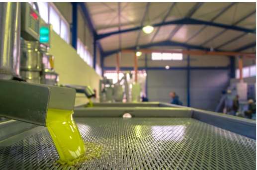 Freshly extracted olive oil flowing through a filter in a modern factory Olive oil factory