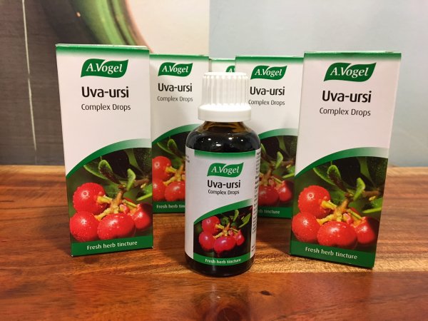 Uva ursi