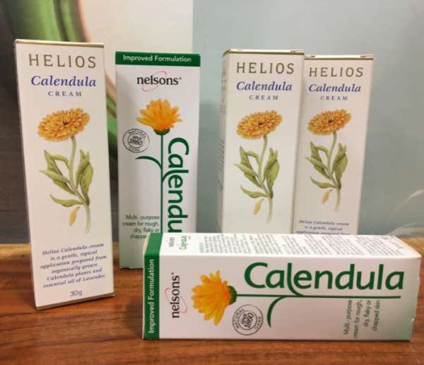 Calendula