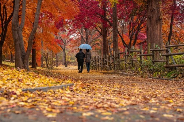 A couple walking 