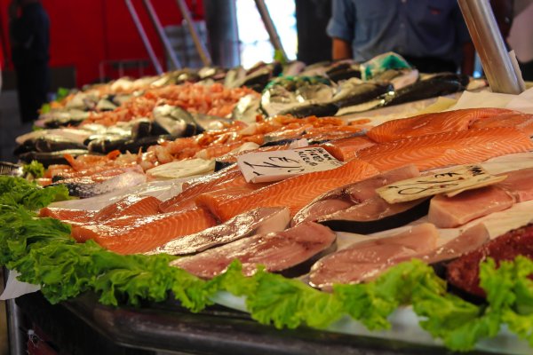 Different types of fish and seafood at the market Fish market