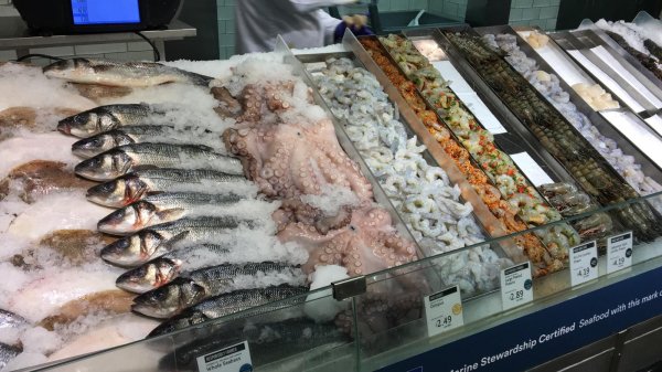 Fresh fish display in a fish shop Fresh fish display in a fish shop