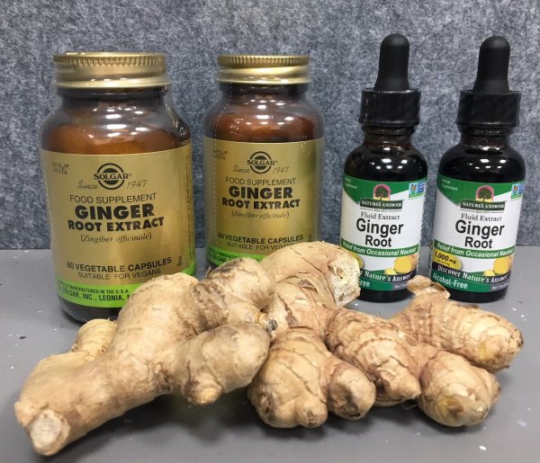 Ginger in different forms: fresh, capsules and tincture Ginger