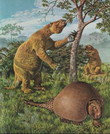 A drawing with two Megatheriums eating and a Glyptodon Glyptodon