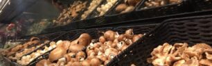 Unknown “vitamin ET” in Mushrooms fights free radicals