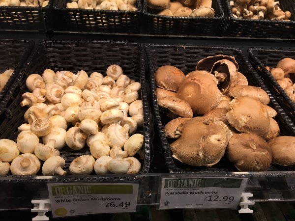 Mushrooms