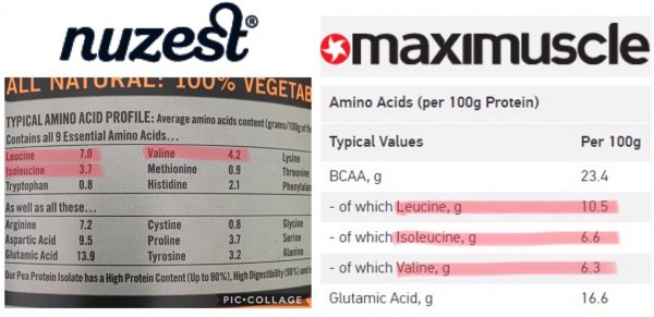 Nuzest vs maximuscle2