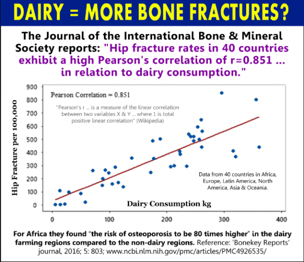 A graph from a study showing that milk intake may increase risk of fractures Osteoporosis graph more fractures