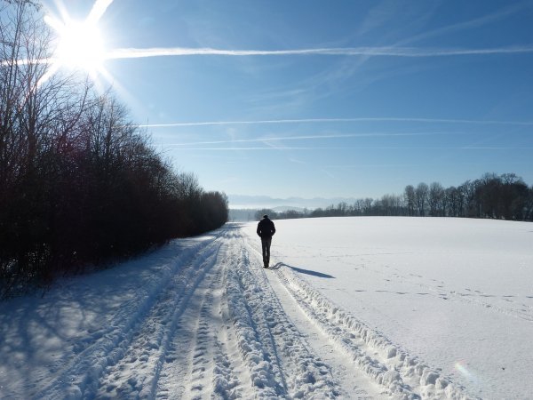 A bright light glowing in a snowy field, contrasting the white landscape Snow
