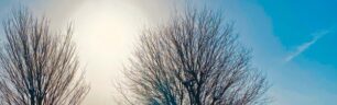 High risk of vitamin D toxicity due to self-prescribing