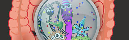 The digestion solution home