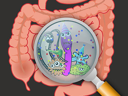 The digestion solution home