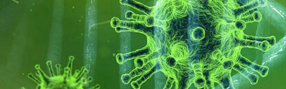 The immunity solution home