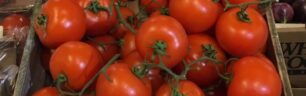 Natural Foods against “Fake” foods