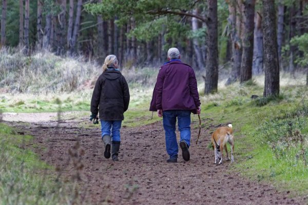 Two people walking a dog in the forest walk
